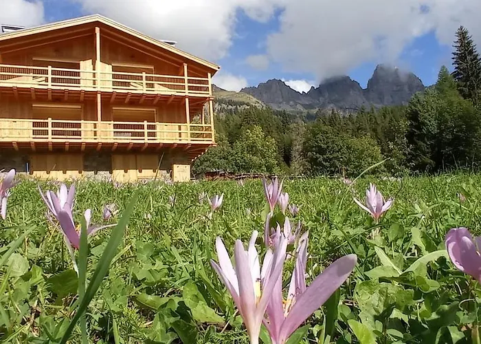 Tabia Sui Prati- Bilocale Apartment Falcade